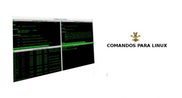 comandos para linux