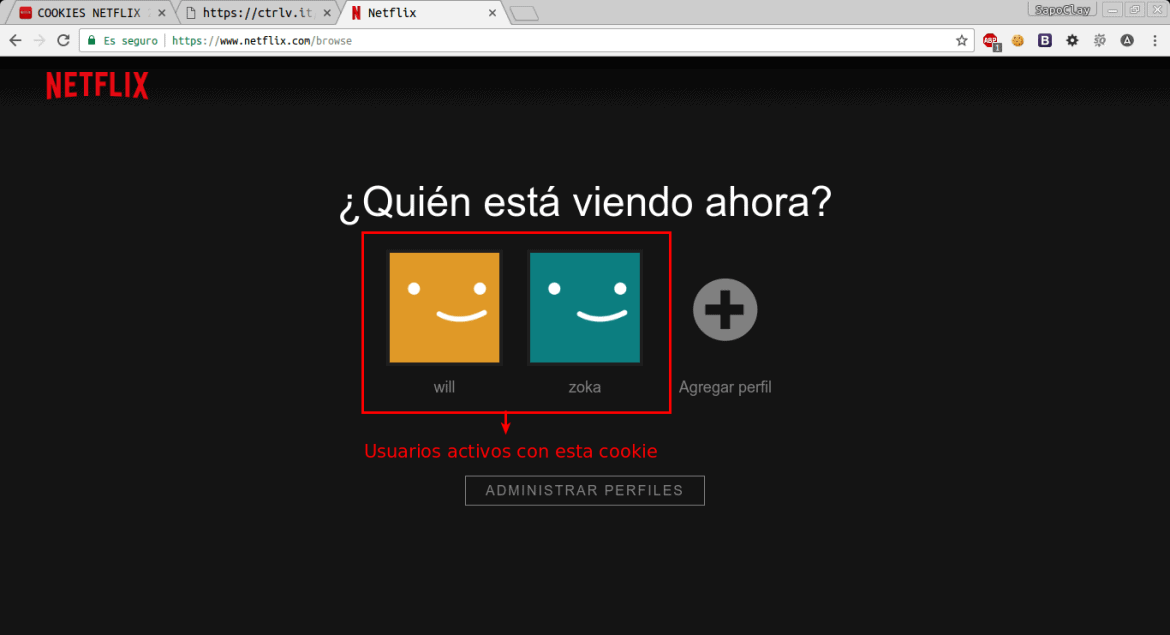 Netflix gratis utilizando las cookies de otros en nuestro Chrome