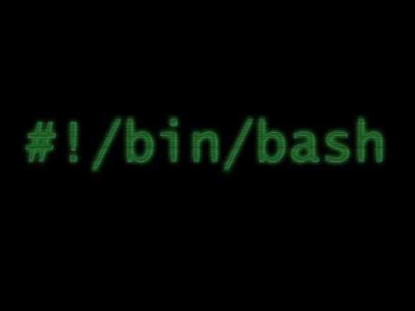 bash shell script