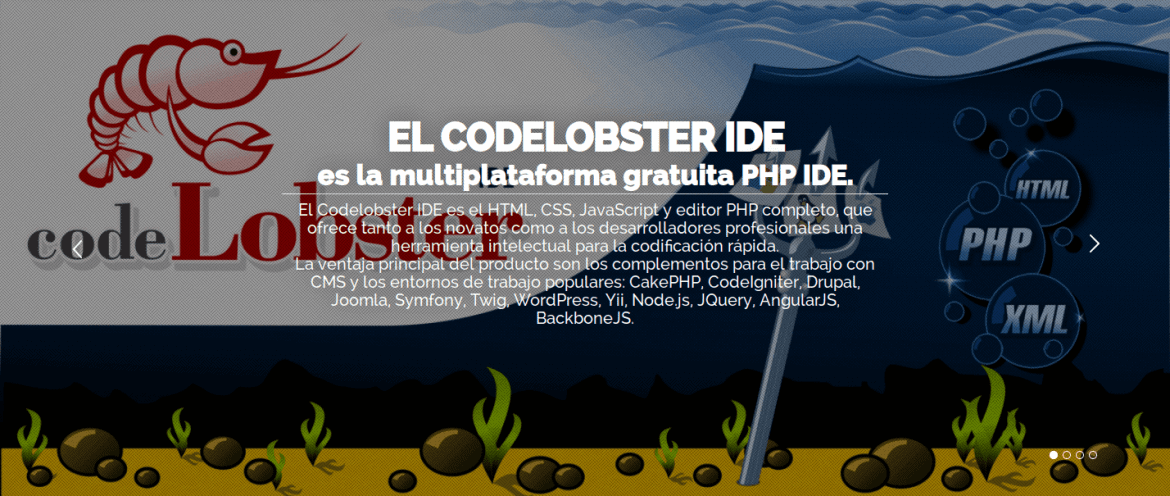 about CodeLobster