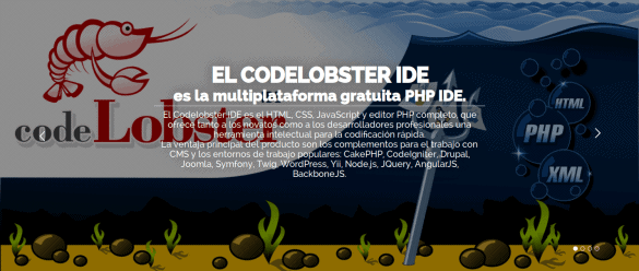 about CodeLobster