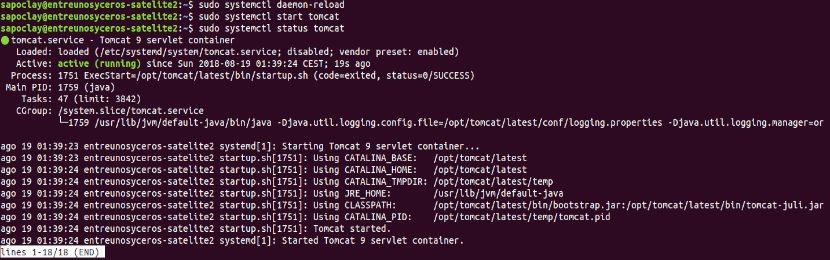 apache tomcat 9 status