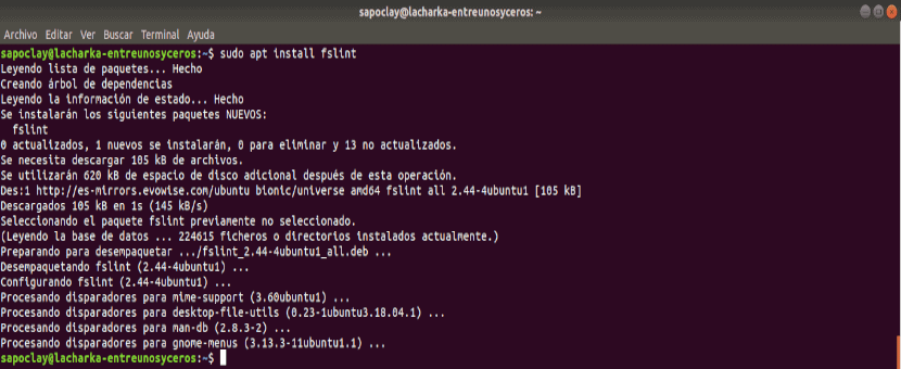 fslint install