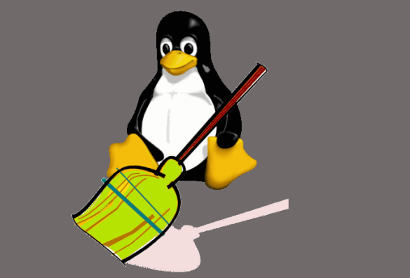 limpia Ubuntu