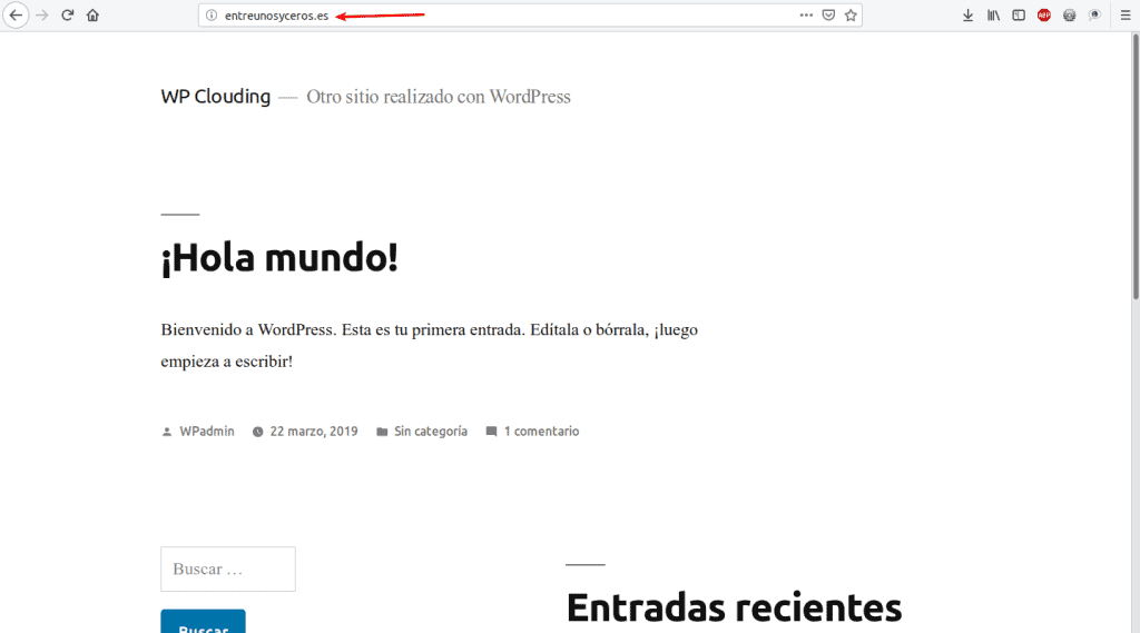 dominio activo vps