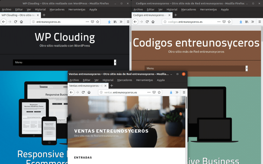 Wordpress multisite activado en clouding.io con subdominios