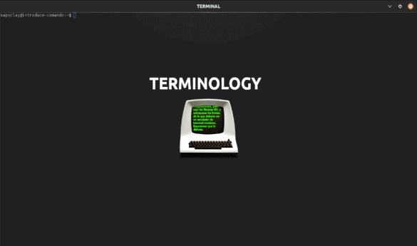 about terminology