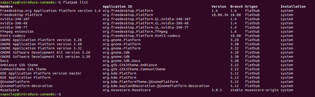 flatpak list