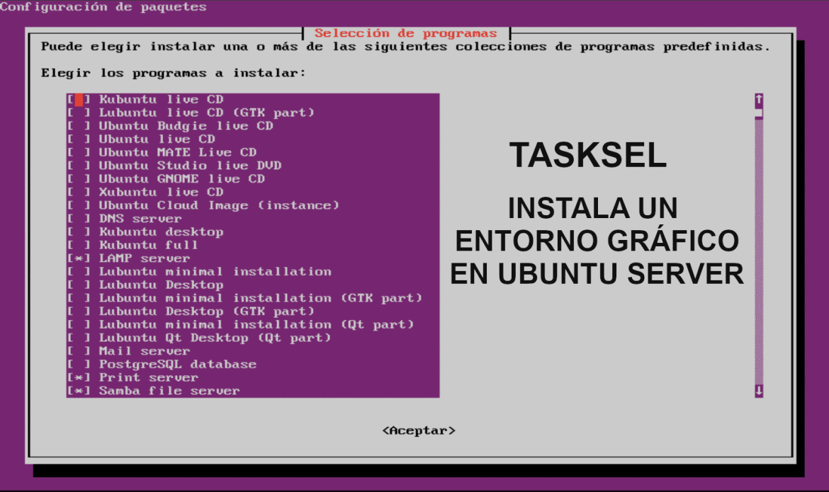 Tasksel, instalar la interfaz gráfica en Ubuntu Server 18.04 LTS Tasksel, instalar la interfaz gráfica en Ubuntu Server 18.04 LTS