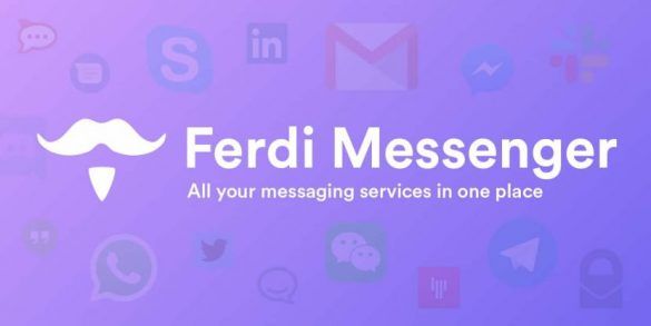about Ferdi