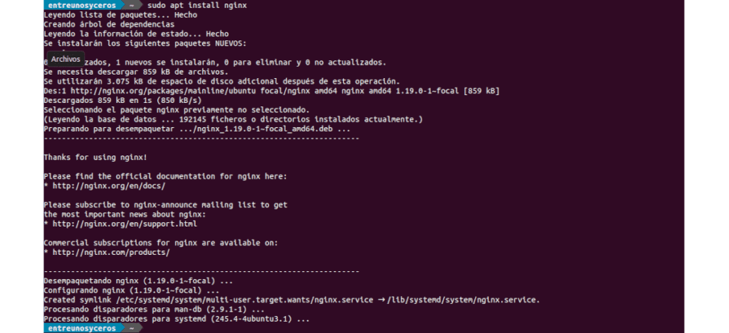 instalación de nginx