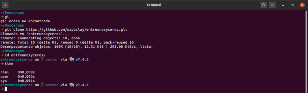 prompt personalizado