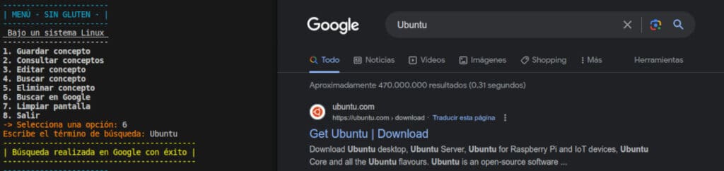 búsqueda en google